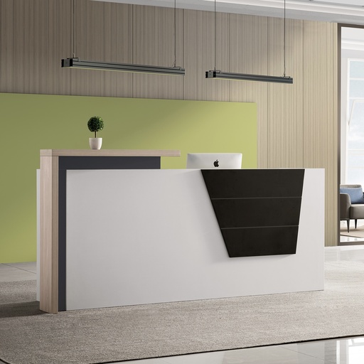 [CMJ23083GBI] MJ2 BIRCH